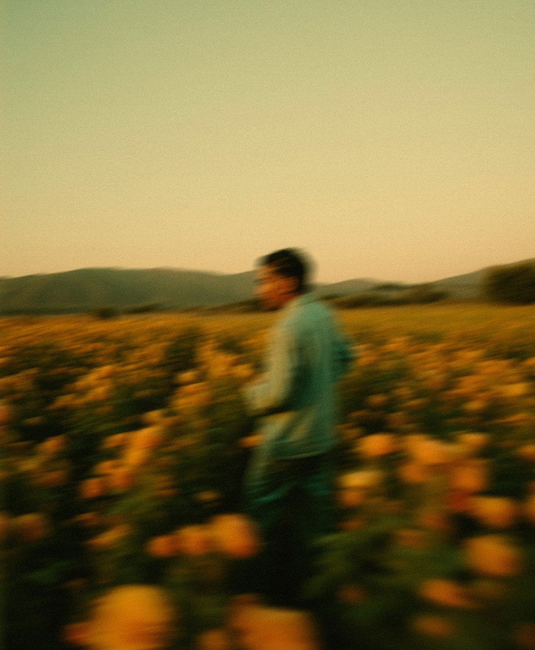 Rosas Amarelas - Visão Borrada, Ensaio Fotografico — Rosas Amarelas Visão Borrada Vol 1, Marco Vincit