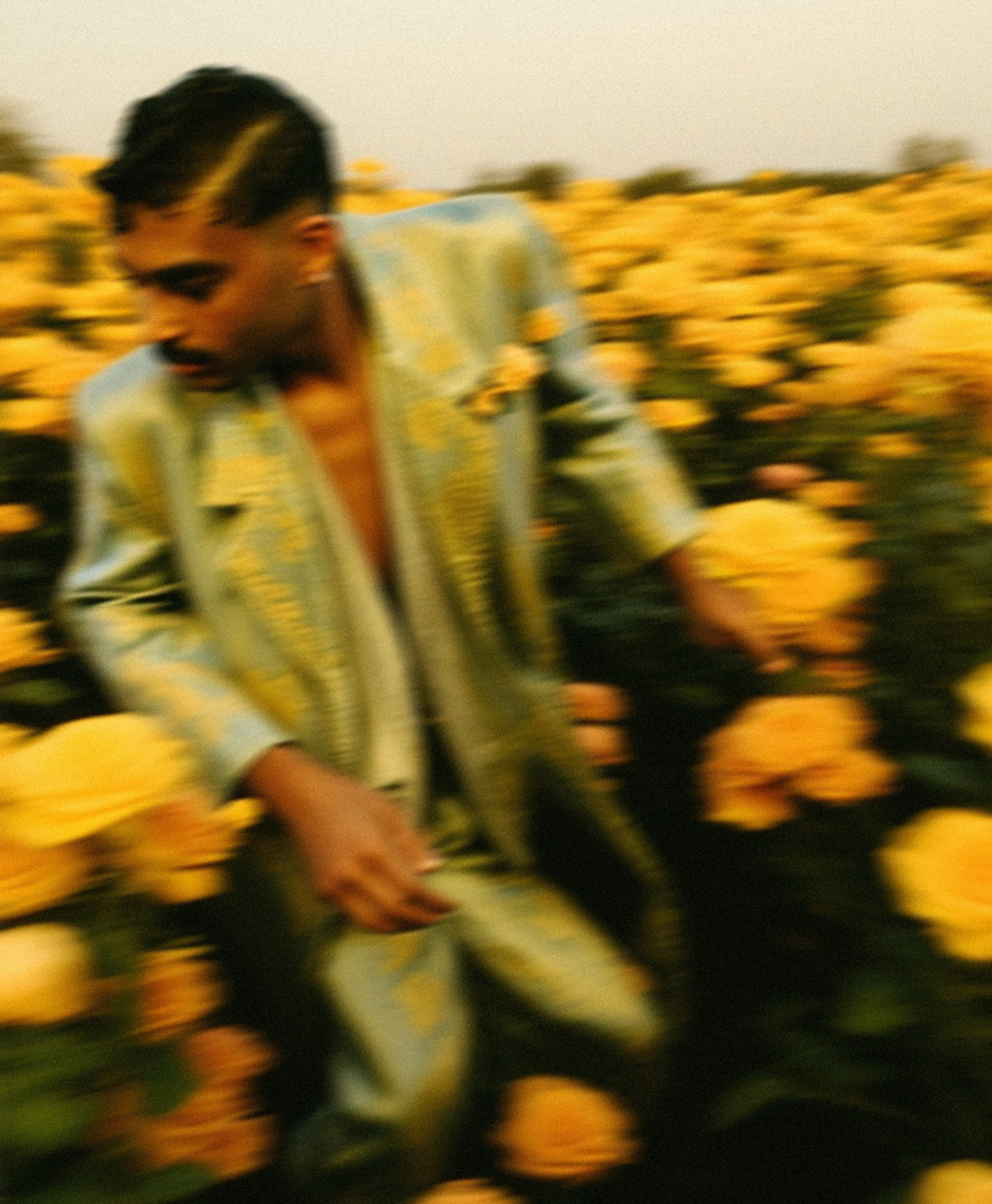 Rosas Amarelas - Visão Borrada, Ensaio Fotografico — Rosas Amarelas Visão Borrada Vol 1, Marco Vincit