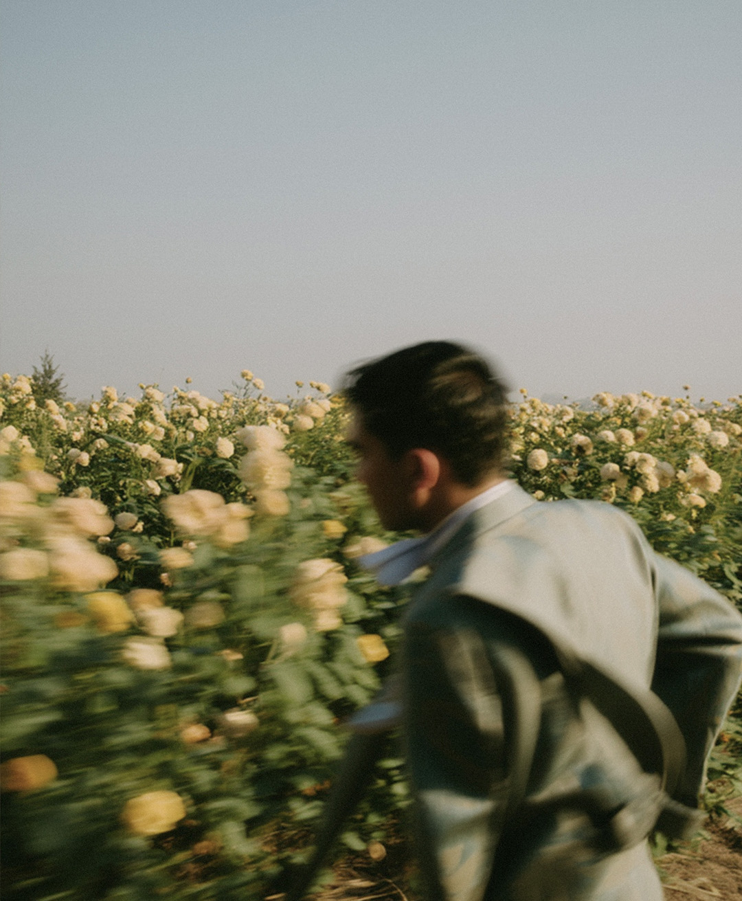 Rosas Amarelas - Visão Borrada, Ensaio Fotografico — Rosas Amarelas Visão Borrada Vol 2, Marco Vincit