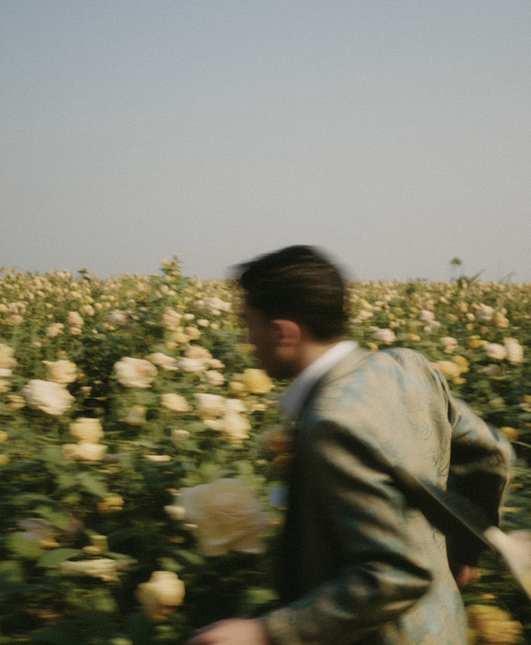 Rosas Amarelas - Visão Borrada, Ensaio Fotografico — Rosas Amarelas Visão Borrada Vol 2, Marco Vincit