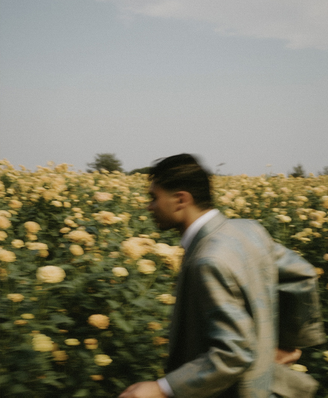 Rosas Amarelas - Visão Borrada, Ensaio Fotografico — Rosas Amarelas Visão Borrada Vol 2, Marco Vincit